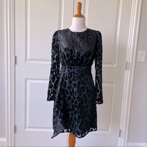 Brand new express leopard print dress